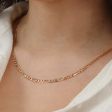 Figaro 14K Yellow Gold Chain