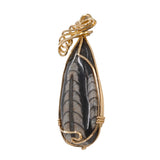 14k Yellow Gold Orthocera Pendant